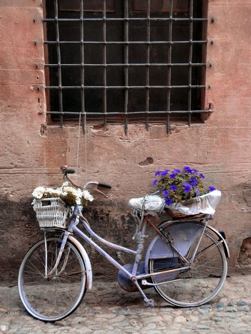 bicycle flowers trash
