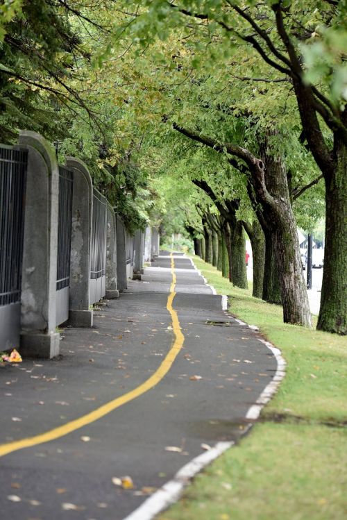 bicycle path park city