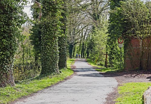 bicycle trail  münsterland  parklandschaft