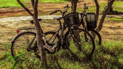 bicycles nature fall