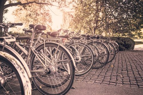 bicycles bikes outdoors