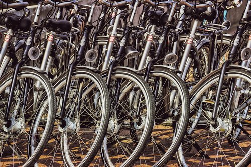 bicycles  rent  cycling