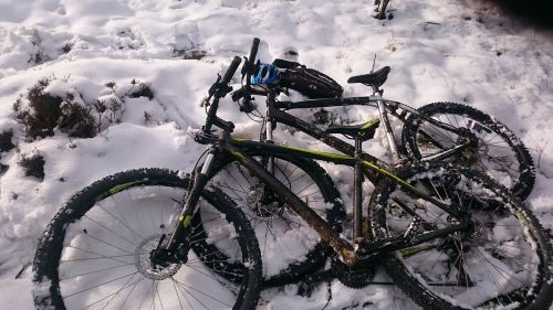 bicycles in the snow