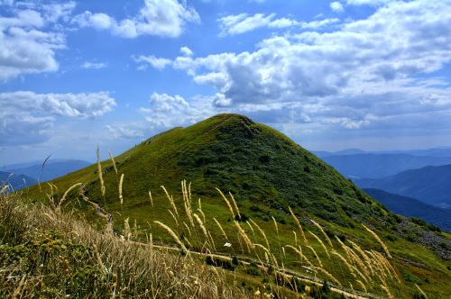 bieszczady tarnica beech berdo