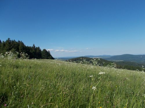 big lopeník white carpathians czech republic