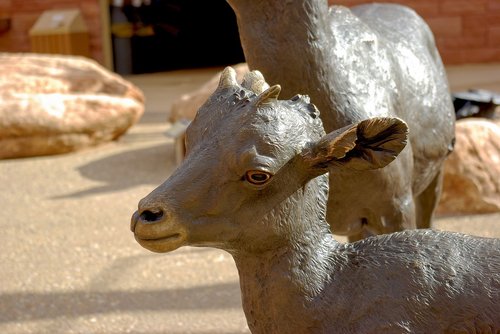 bighorn lamb sculpture  bronze  statue
