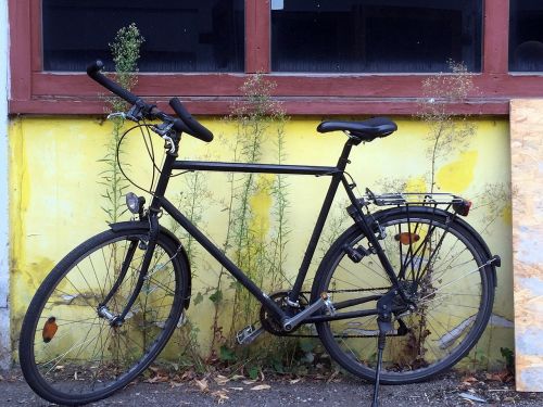 bike backyard bicycles