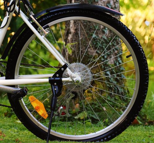 bike rear wheel cycle
