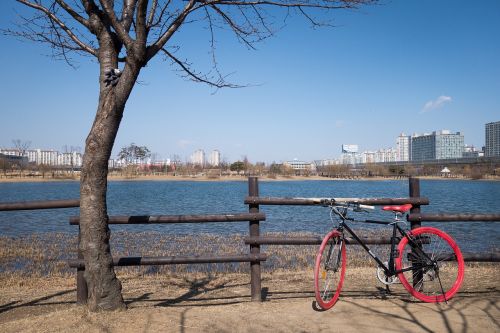 bike bicycle wheel