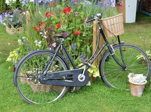 bike flowers bicycle