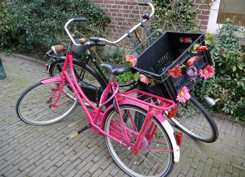 bike dutch netherlands