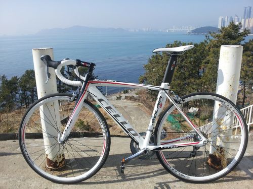 bike sea road bike