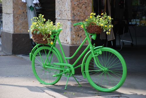 bike green flowers