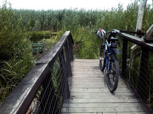 bike path nature