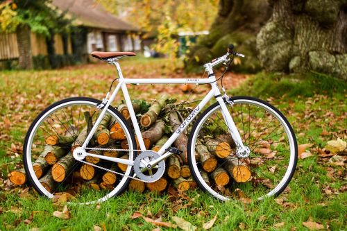 bike bicycle woods