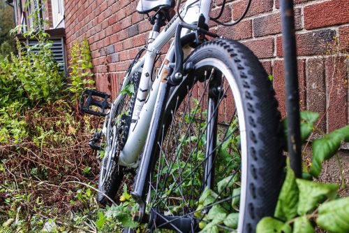 bike bicycle leaf