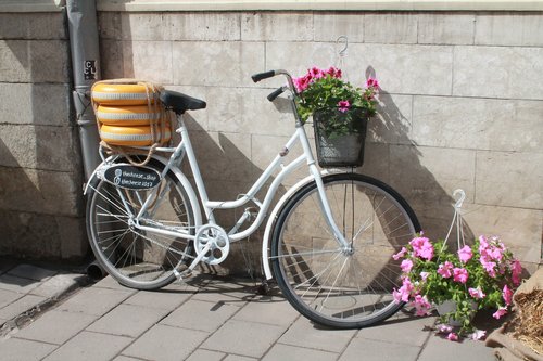 bike  flowers  cheese