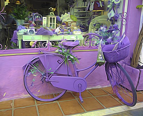 bike  picture  shop