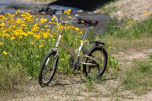 bike  flower road  nature