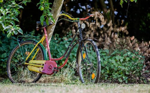 bike  colorful  garden