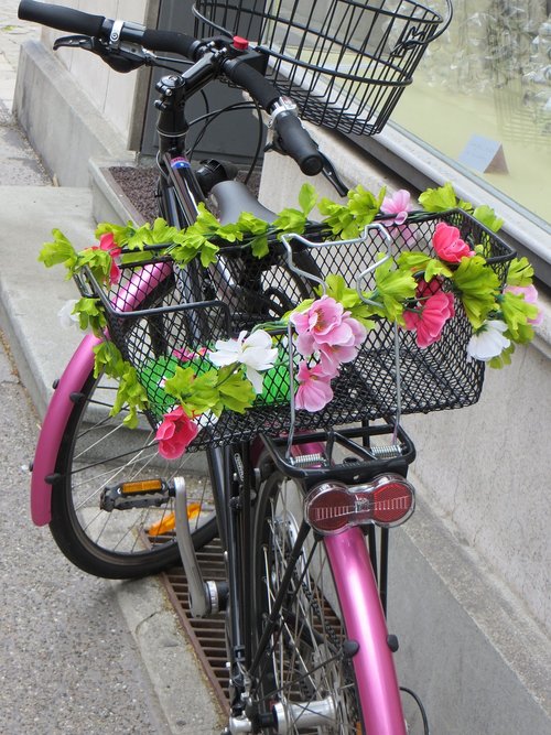 bike  pink  flower