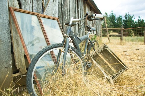 bike  bicycle  field