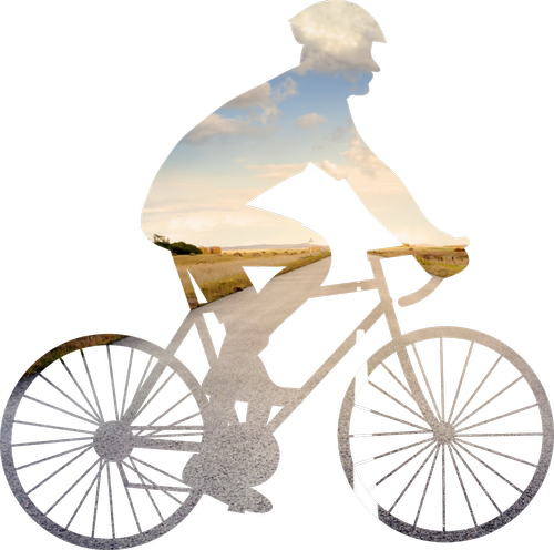 bike  cyclist  by bike