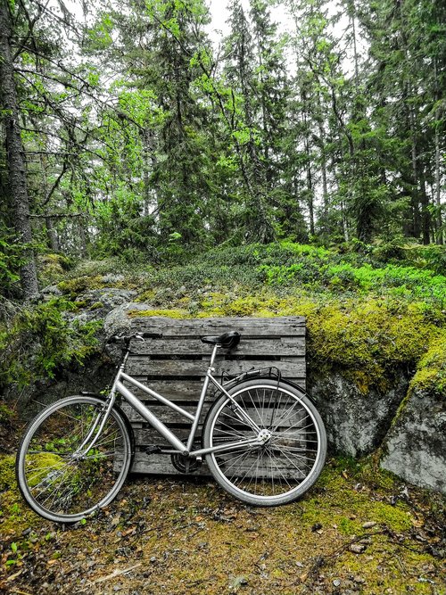 bike  forest  green