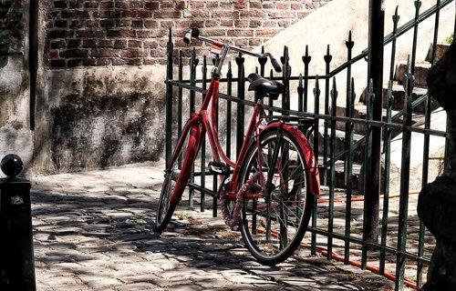 bike  red  wheel