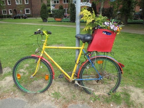 bike flowers flower bed