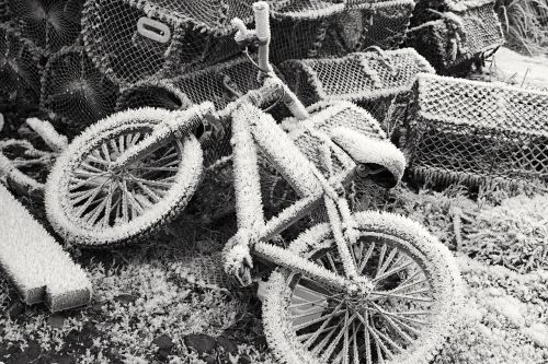 bike frozen winter