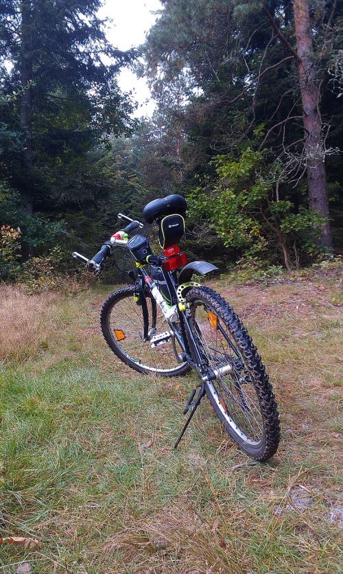 bike meadow forest