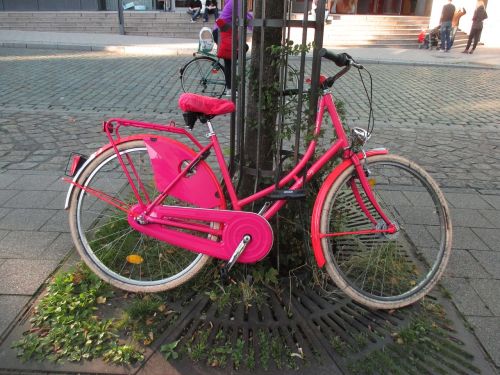 bike pink dutch