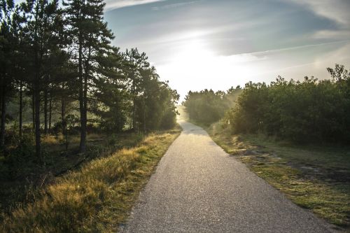 bike path morning sun ameland
