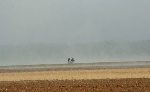 bikes fields mist