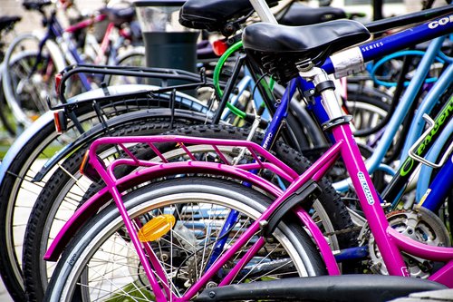 bikes  cycle  pink