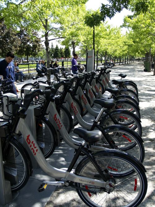 bikes bicycles row