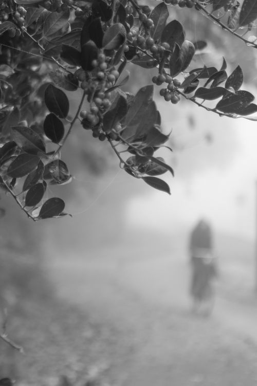 biking cyclist haze