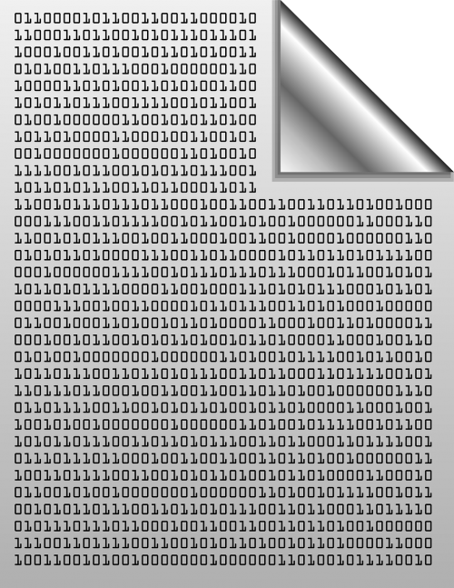 binary code machine code
