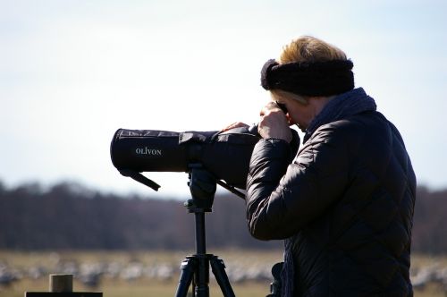 binoculars bird watchers focused