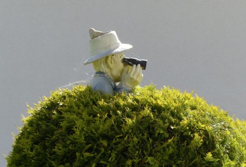 binoculars bush sensing