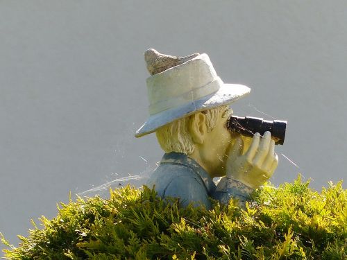 binoculars bush sensing