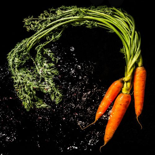 bio carrots vegetables
