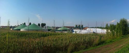 biogas building plants