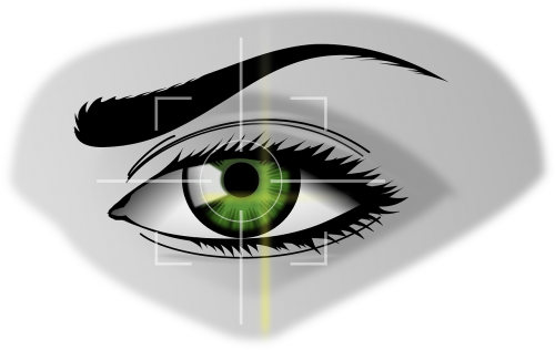 biometrics eye security