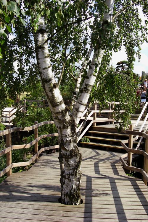 birch bridge park