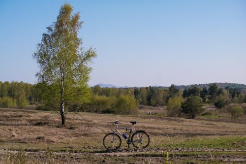 birch bike siebengebirge