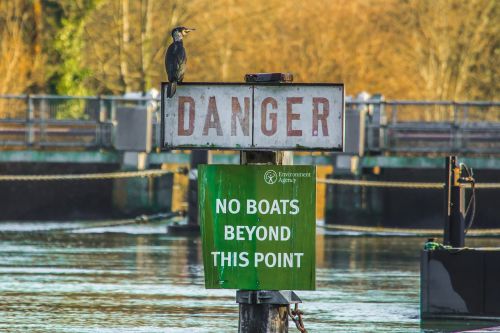 bird river nature