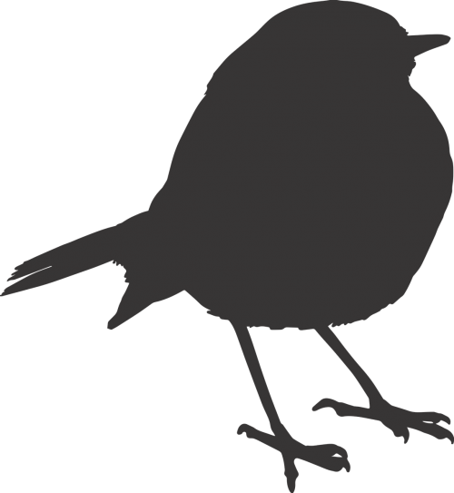 bird sparrow silhouette