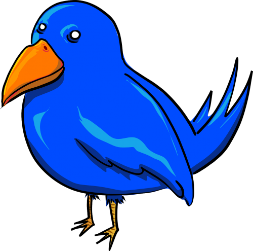 bird blue twitter